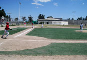Canchas deportivas Pasto sintético